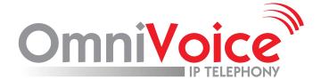 OmniVoice